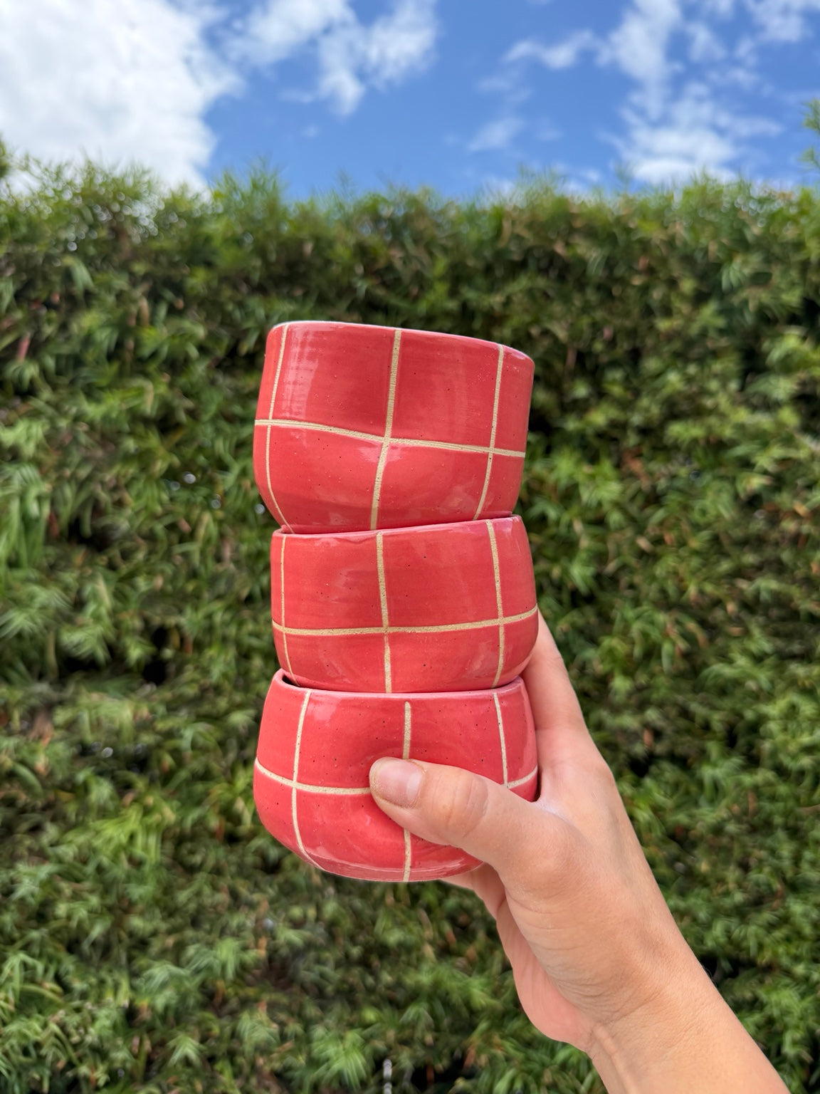 Coral Grid Cup